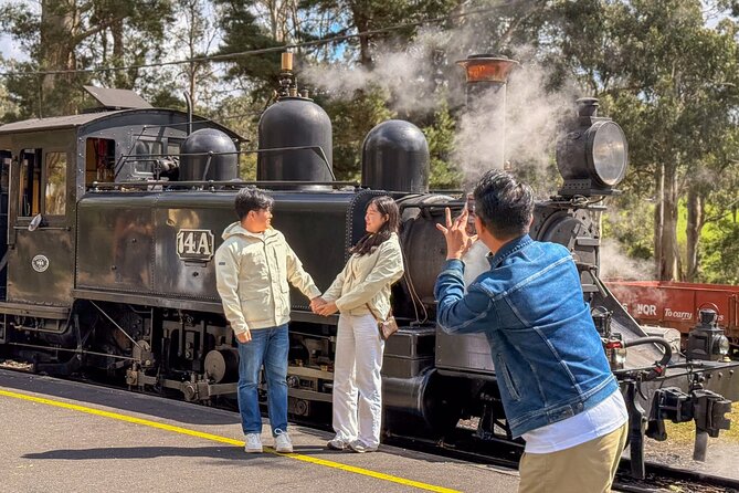 Puffing Billy, Forest Trails and Yarra Valley Discovery Tour - Puffing Billy from Belgrave to Menzies Creek