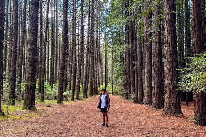 Puffing Billy, Forest Trails and Yarra Valley Discovery Tour - Killara Estate and the final choice