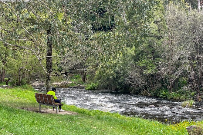 Puffing Billy, Forest Trails and Yarra Valley Discovery Tour - What the guides add to the day