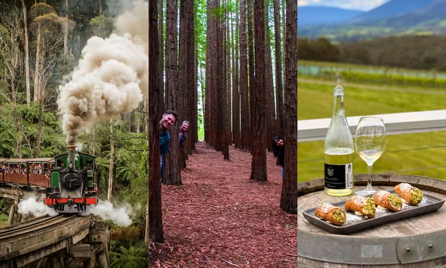 Puffing Billy, Forest Trails & Yarra Valley Discovery Tour - Key points at a glance