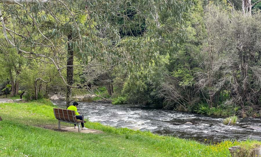 Puffing Billy, Forest Trails & Yarra Valley Discovery Tour - A Yarra Valley finish at Killara Estate