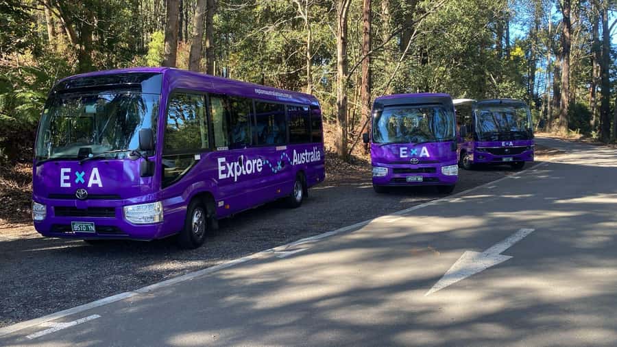 Puffing Billy, Healesville Sanctuary & Chocolatier - How the transport and timing shape the day
