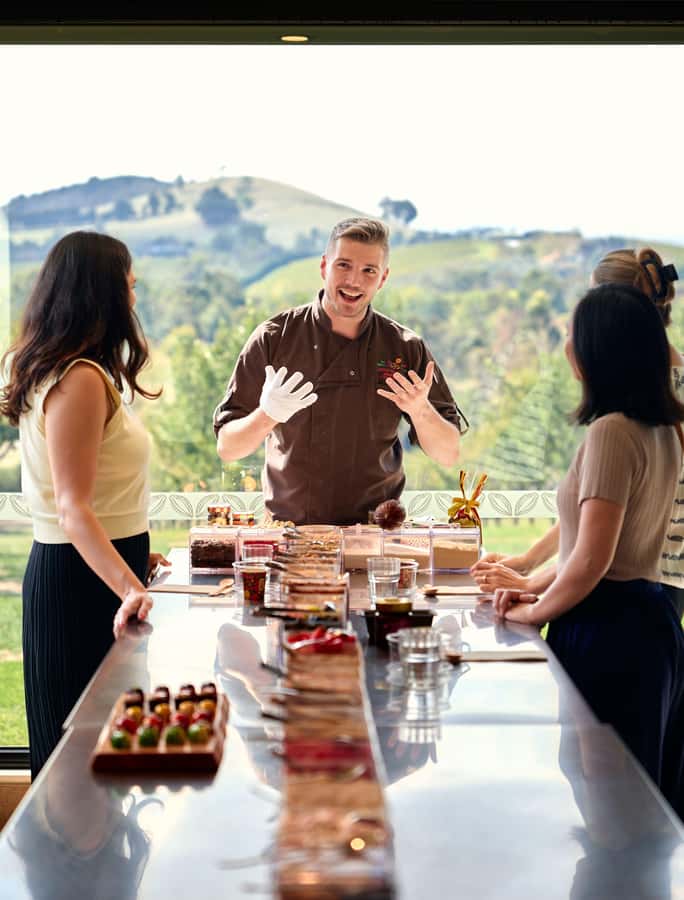 Puffing Billy, Healesville Sanctuary & Chocolatier - Practical tips for a smoother day