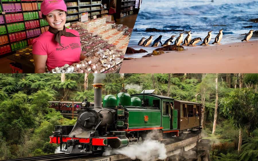 Puffing Billy Penguin Parade Winery Chocolaterie All-in-One - Key points to know