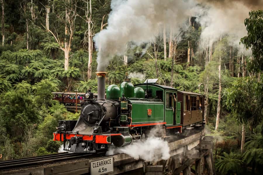 Puffing Billy Penguin Parade Winery Chocolaterie All-in-One - Chocolate first at Yarra Valley Chocolaterie
