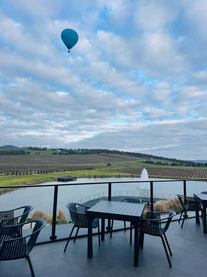 Puffing Billy Penguin Parade Winery Chocolaterie All-in-One - Who should book this day trip?