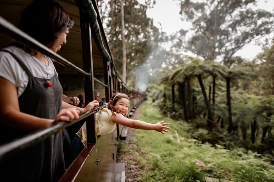 Puffing Billy Railway: Heritage Steam Train Journey - Lakeside and Emerald Lake Park