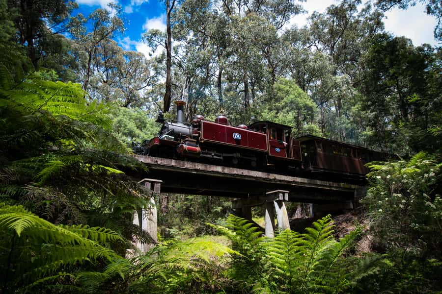 Puffing Billy Railway: Heritage Steam Train Journey - Continuing Toward Gembrook