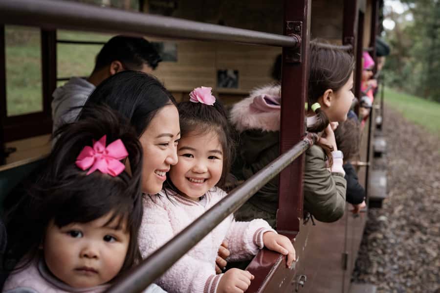 Puffing Billy Railway: Heritage Steam Train Journey - Accessibility and Practical Comfort