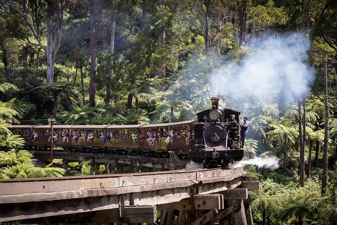 Puffing Billy & Rainforest Tour from Melbourne - Why the small-group vehicle matters