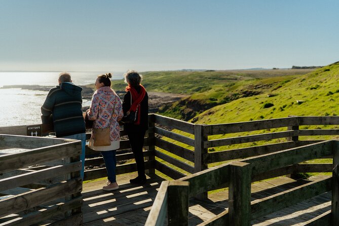 Puffing Billy Steam Train and Penguins Wildlife Tour - The Nobbies and Bass Strait views