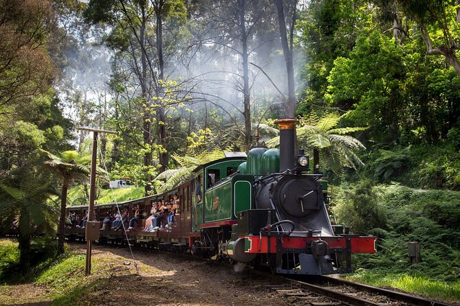 Puffing Billy Tour and Penguin Parade from Melbourne - Phillip Island and the optional summer stops