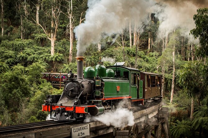 Puffing Billy Train and Phillip Island Penguin Parade Day Tour - Why this day tour works