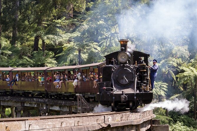 Puffing Billy Train and Phillip Island Penguin Parade Day Tour - Maru Animal Park, an optional wildlife stop