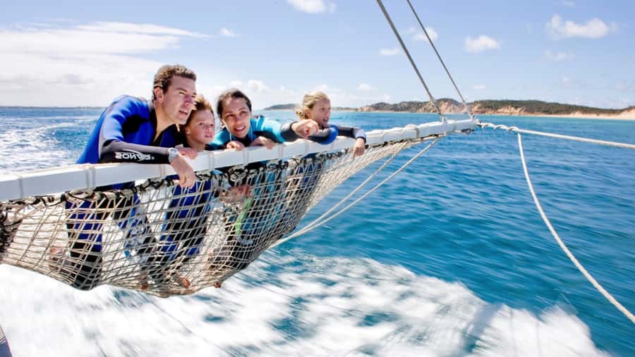 Queenscliff Harbour: 3.5hr Seal & Dolphin Snorkelling Tour - The dolphin search is exciting, but never guaranteed