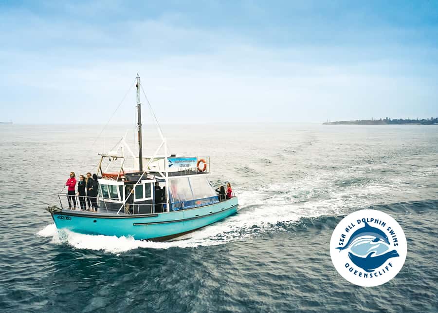Queenscliff Harbour: 3.5hr Seal & Dolphin Snorkelling Tour - Cold water, equipment, and comfort