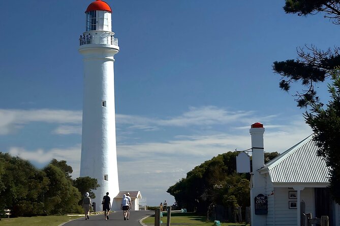 Reimagined Great Ocean Road 1-Day Tour from Melbourne - Lorne, Wye River, and the Memorial Arch