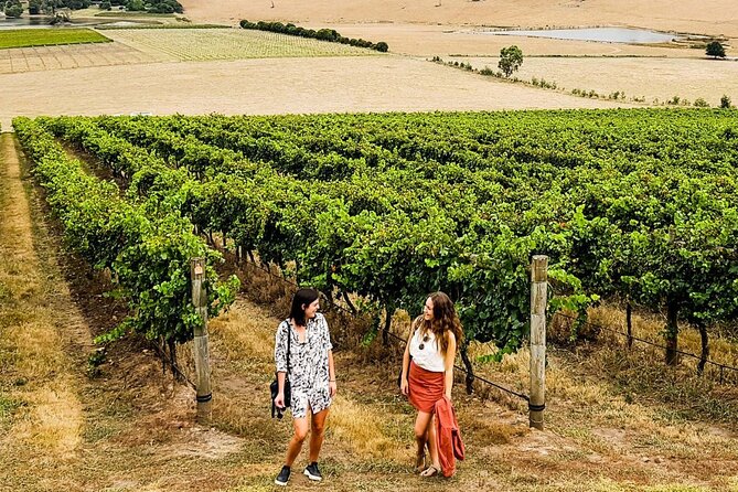 Relaxed Half Day Yarra Valley Wine Tasting Tour from Melbourne - Why the midday start works so well
