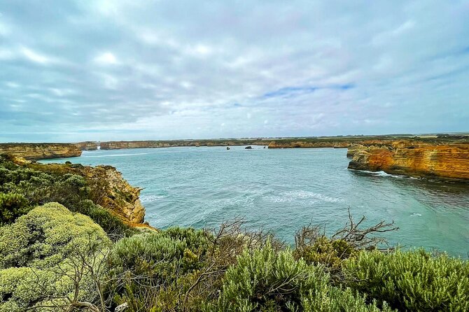 Scenic Great Ocean Road Discovery Tour - Iconic Coastal Wonders - Apollo Bay gives you a real lunch break
