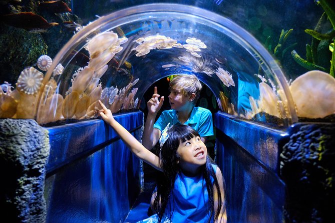 SEA LIFE Melbourne Aquarium Admission Ticket - Starting beside the Yarra River