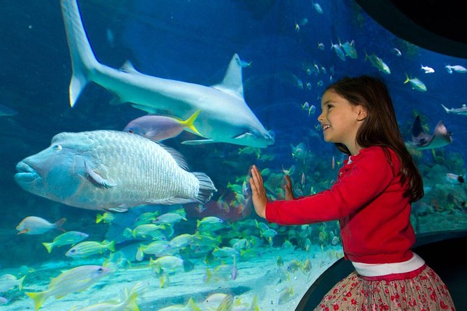 SEA LIFE Melbourne Aquarium Admission Ticket - Sharks, rays, and the large central tank