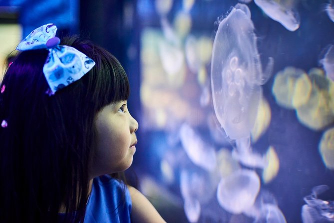 SEA LIFE Melbourne Aquarium Admission Ticket - Talks, feeding sessions, and interactive exhibits