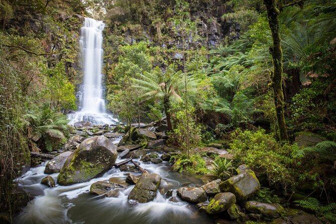 Self-Guided Audio Driving Tour of the Great Ocean Road, Australia - Lorne and Erskine Falls: town time and rainforest