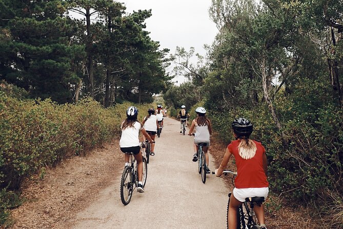 Self-Guided Point Nepean National Park Bike Hire - What the $28.69 price really buys you