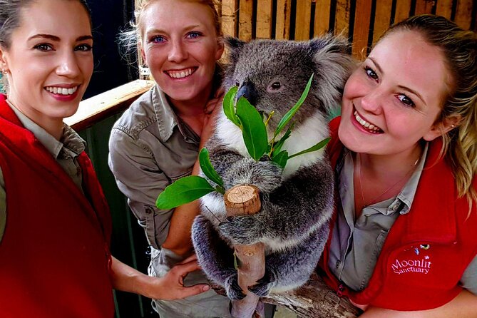 Shore Excursion Melbourne, Sights, Kangaroos, Koalas Lunch & Wine - Merricks General Store serves the best meal break
