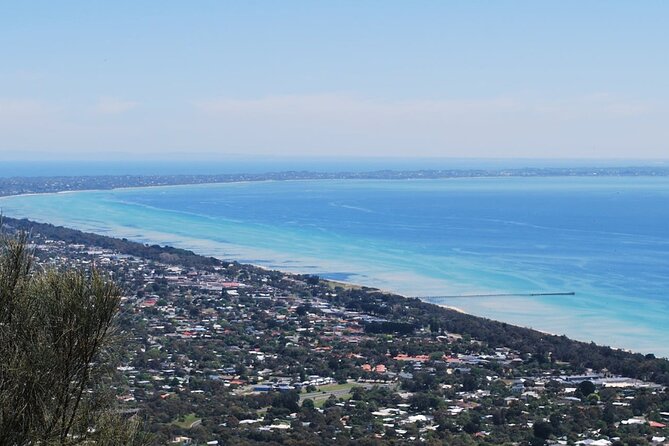 Shore Excursion Melbourne, Sights, Kangaroos, Koalas Lunch & Wine - Who should book this tour?