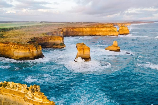 Small-Group Great Ocean Road Day Trip from Melbourne - Great Otway National Park brings in rainforest and wildlife