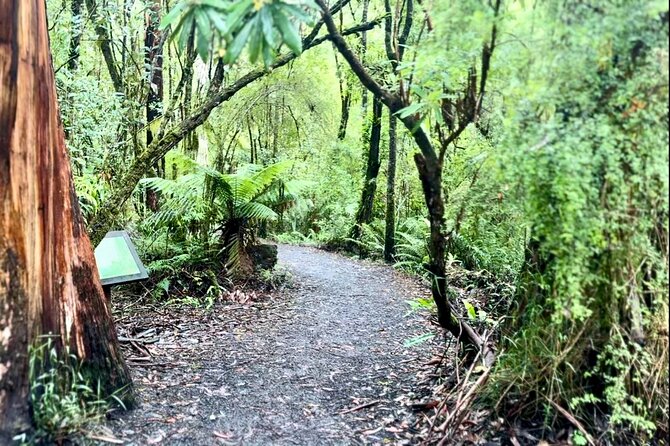 Small group Great Ocean Road Reverse & Wildlife spotting - Loch Ard Gorge brings a powerful story