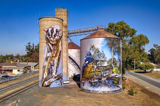 Small-Group Murray River Adventure - Paddle Steamer & Wildlife - Why this regional Victoria day works