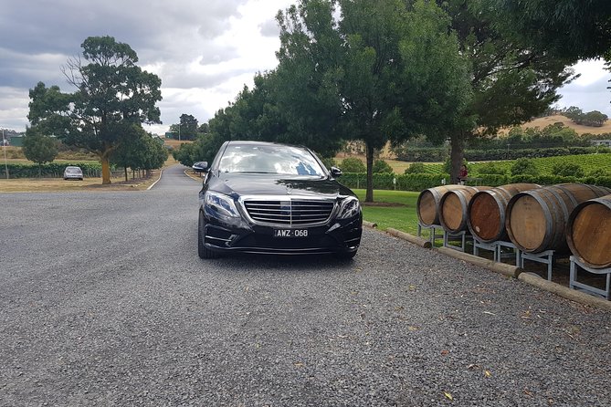 Small Group Personalised Private Tours Melbourne (up to 14 pax) - What the private vehicle changes