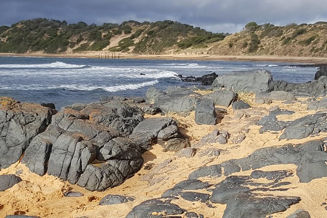 Small Group Personalised Private Tours Melbourne (up to 14 pax) - How the price works for different groups