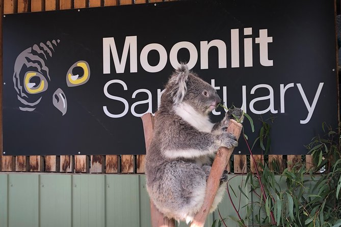 Small-Group Phillip Island Afternoon Day Trip from Melbourne - Warm clothing is not optional