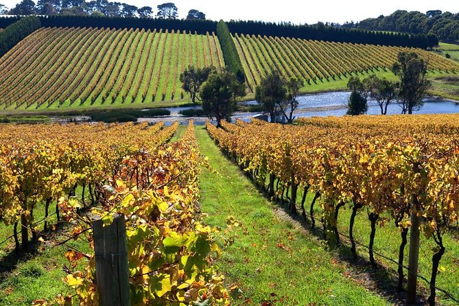 Small Group: Ultimate Mornington Peninsula Food and Wine Day - How the small group changes the day