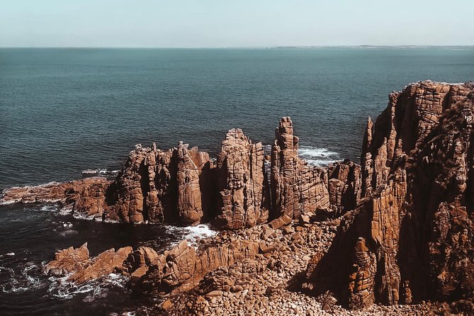 Small Tour (8 ppl) Phillip Island Hike & Penguin Parade Day Tour - What makes this Phillip Island day special