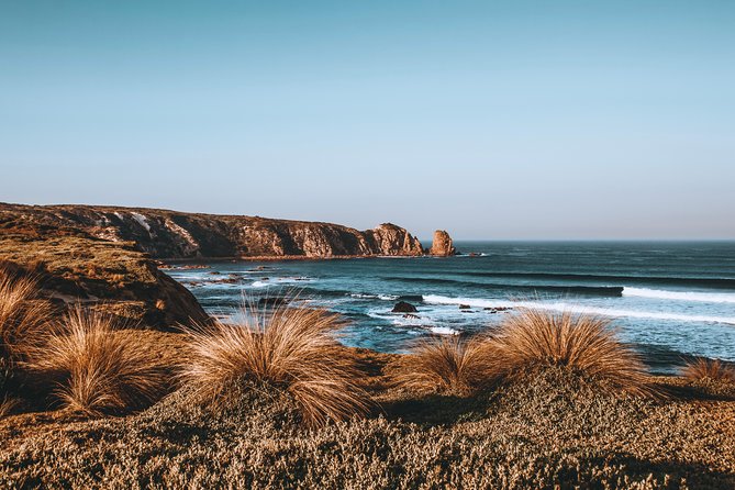 Small Tour (8 ppl) Phillip Island Hike & Penguin Parade Day Tour - The Nobbies puts you beside the open coast