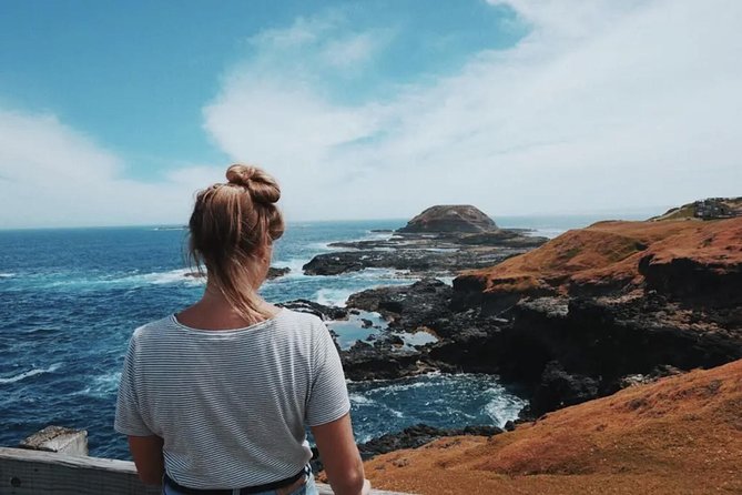 Small Tour (8 ppl) Phillip Island Hike & Penguin Parade Day Tour - The Penguin Parade is worth saving for last