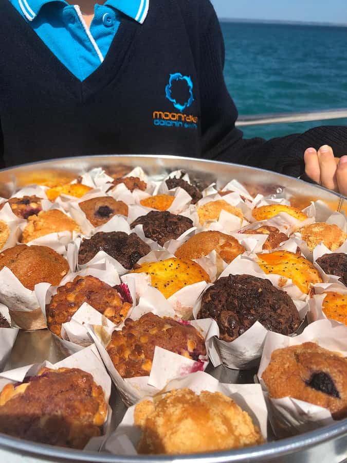 Sorrento,Mornington Peninsula: Wildlife & Sightseeing Cruise - Who will get the most from this cruise