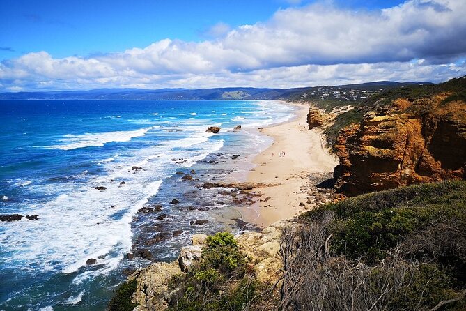 Split Point Lighthouse Tours - The views from Eagle Rock to the Otways