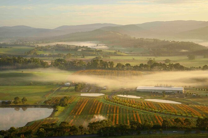 Sunrise Hot Air Balloon Flight over Yarra Valley + Breakfast - Landing, balloon pack-up, and breakfast