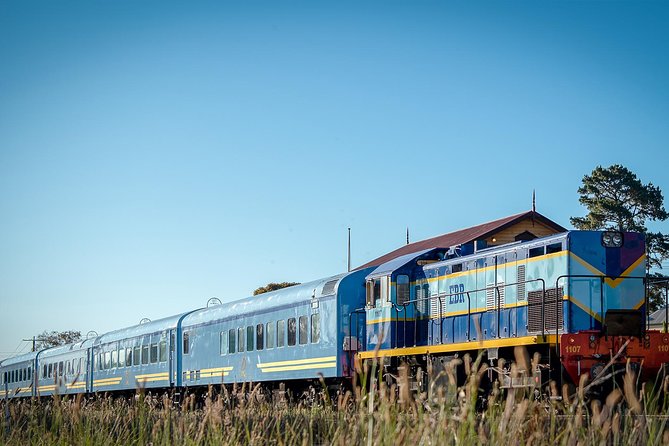 The Q Train - Q Class Social Dining - Practical planning for your evening