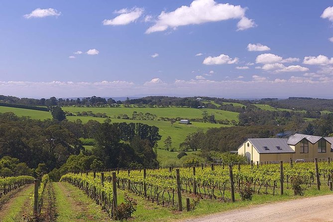 Ultimate Mornington Peninsula Food and Wine Small Group Tour - Pt. Leo Estate, wine, and a change of setting