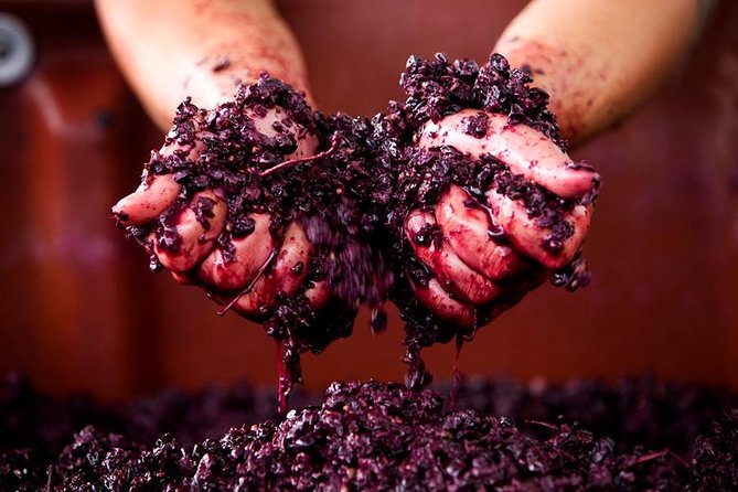 Ultimate Mornington Peninsula Food and Wine Small Group Tour - What the $193.66 price really includes