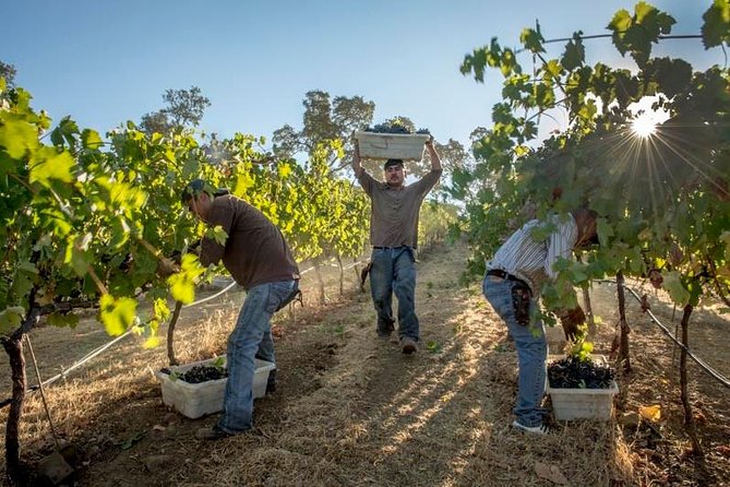 Ultimate Mornington Peninsula Food and Wine Small Group Tour - Leaving Melbourne for the vineyards