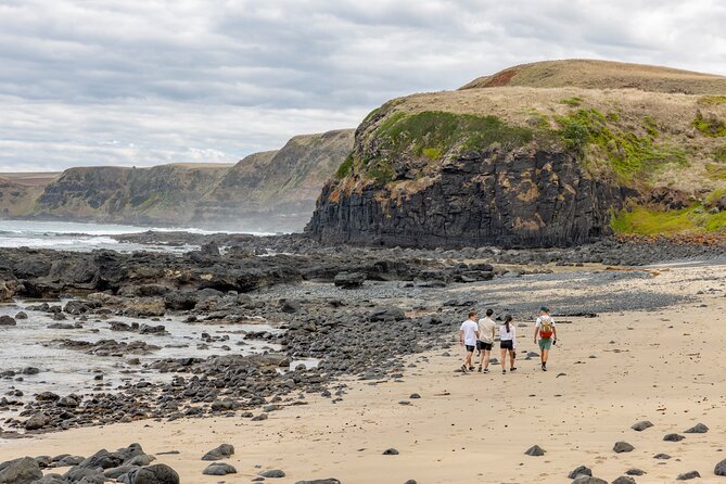 Ultimate Peninsula Adventure: Stand Up Paddle, Hot Springs, Hike, Lunch & Winery - A picnic with local produce at a beach viewpoint