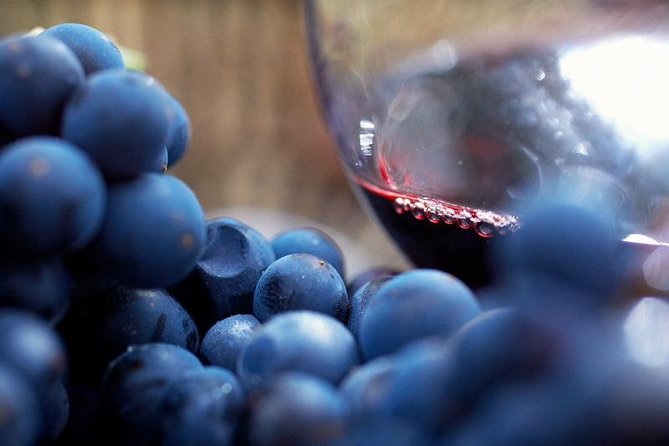 Ultimate Yarra Valley Chandon, Soumah & De Bortoli Cheese & Wine - A seven-hour escape from Melbourne