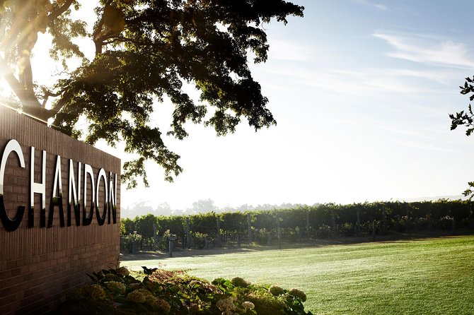 Ultimate Yarra Valley Chandon, Soumah & De Bortoli Cheese & Wine - A proper winery lunch